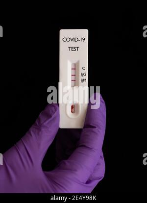 Positiver schneller serologischer Test (IgG/IgM-Antikörper) Für COVID-19 (SARS-CoV-2), die von einem Arzt mit violetten Handschuhen gehalten wird Stockfoto