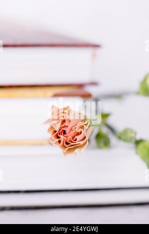 Tee Rose Farbe Nelke Blume auf einem hellen Stapel von Bücher Hintergrund Stockfoto