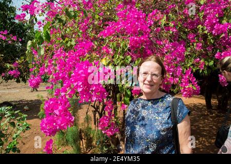 Frau, die neben dem Bougainvillea Busch in Kambodscha, Asien, steht Stockfoto