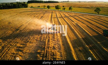 Harvester Ernte Weizen mit einer Straße in der Nähe und andere Felder in der Nähe von einer Drohne in Litauen. Stockfoto