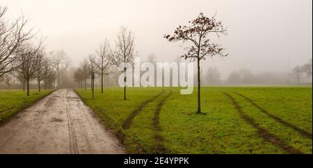 Eine Landstraße zwischen nebligen Feldern von Harrow auf der Hill School im Winter, England Stockfoto