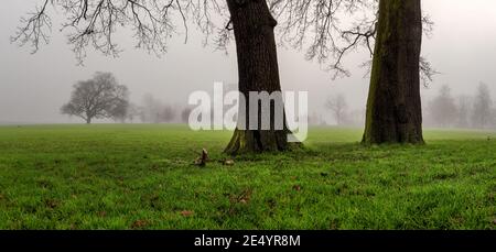 Nebliger Morgen in Harrow auf den Hill School Fields, England Stockfoto