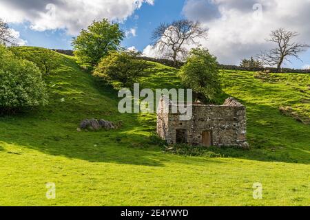 Eine alte Steinscheune in den Yorkshire Dales in der Nähe von Gayle, North Yorkshire, England, Großbritannien Stockfoto