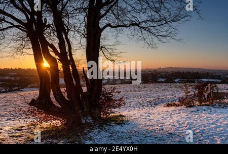 Sonnenaufgang über London von Harrow Weald im verschneiten Wintermorgen, London Stockfoto