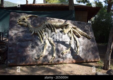 Fossil Skelett des Dinosauriers im Waldpark in der Natur für Hintergrund. Realistisches Modell. Dinopark in der Türkei, Goynuk. Pehistoric Ära Dinosaurier. Die Anc Stockfoto