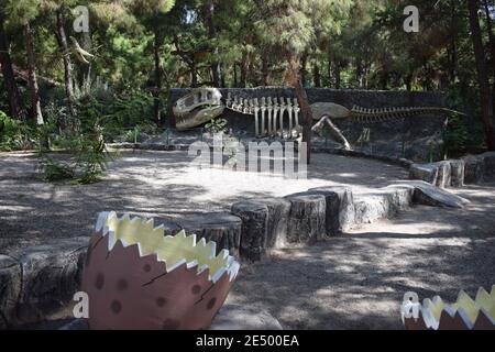 Fossil Skelett des Dinosauriers im Waldpark in der Natur für Hintergrund. Realistisches Modell. Dinopark in der Türkei, Goynuk. Dinosaurier aus prähistorischer Zeit. Das an Stockfoto