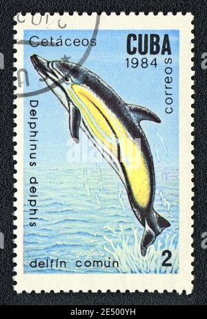 Stempel gedruckt in Kuba zeigt einen Delphin (Delphinus delphis), Serie 'Sea Säugetiere', um 1984 Stockfoto