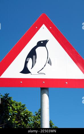 Straßenschild Warnung von Pinguinen in der Gegend, nr Boulders Beach, Kapstadt, Südafrika. Stockfoto