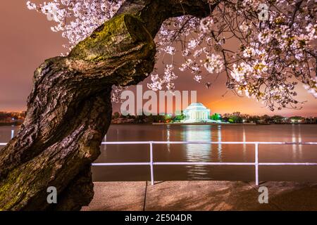 Washington, DC am Jefferson Memorial während des Frühlings aus dem Gezeitenbecken. Stockfoto