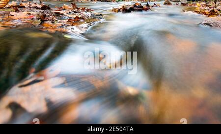 Abstrakter Natur Hintergrund der langen Exposition Wasser fließt über untergetauchte Blätter in einem Bach. Stockfoto