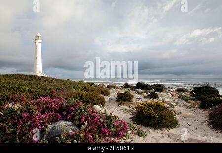 Slangkop Lighthouse, Kommetjie, bei Kapstadt, Westkap, Südafrika – erbaut 1919 ist der Leuchtturm 33 Meter hoch und besteht aus Gusseisen. Stockfoto