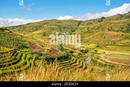 Typische madagassische Landschaft - grüne und gelbe Reisfelder auf kleinen Hügeln mit Lehmhäusern in der Region Andringitra bei Sendrisoa Stockfoto