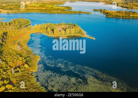 Bezirk Braslaw, Witebsk Voblast, Weißrussland. Luftaufnahme Des Ikazn Sees, Grüne Waldlandschaft. Von Oben Blick Auf Die Schöne Europäische Natur Aus Der Höhe Stockfoto