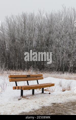 Parkbank im Schnee im Assiniboine Forest in Winnipeg, Manitoba, Kanada Stockfoto