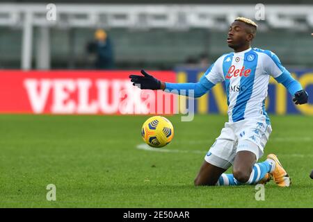 Verona, Italien. Januar 2021. Victor Osimhen (Napoli) während Hellas Verona vs SSC Napoli, italienische Fußballserie EIN Spiel in Verona, Italien, Januar 24 2021 Kredit: Unabhängige Fotoagentur/Alamy Live News Stockfoto