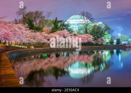 Washington, DC am Jefferson Memorial während des Frühlings aus dem Gezeitenbecken. Stockfoto