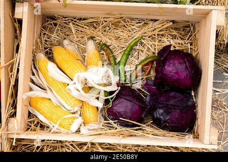 Die Zusammensetzung des Mais, Rotkohl und grünem Pfeffer in einer Holzkiste mit Heu. Stockfoto