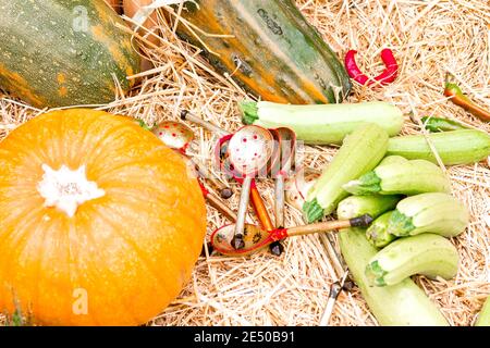 Natürliche Gemüse auf Heu Hintergrund. Die Zusammensetzung der natürlichen Gemüse. Kürbis, Kürbis, Zwiebeln auf Heu. Stockfoto