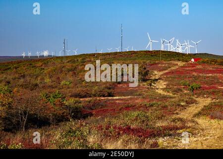 Das Waymart Wind Energy Center am Moosic Mountain im Nordosten von Pennsylvania ist die größte Windgenerationsanlage in Pennsylvania. Stockfoto