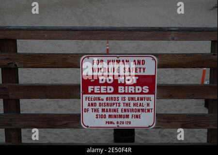 Schild am Strand mit der Aussage: Keine Vögel füttern Stockfoto