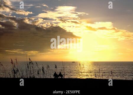 Beobachten des Sonnenuntergangs am Venice Beach Florida Stockfoto