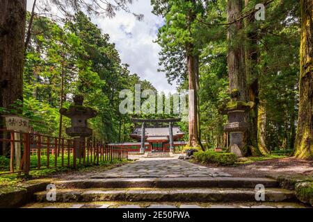 Weitwinkelaufnahme eines Steinweges, der zu einem roten Pagodentempel führt, der von Bäumen umgeben ist, mit einem großen bronzenen Torii-Tor davor Stockfoto