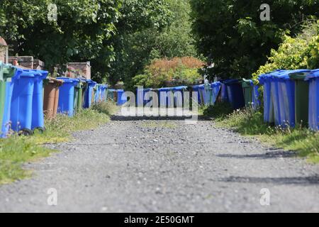 Lange Reihe verschiedenfarbiger Mülltonnen auf der Hinterseite des Hauses in Troon, South Ayrshire, Schottland. Stockfoto