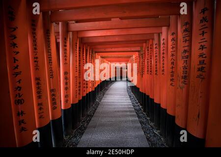 Der Innenraum eines Votivtunnels aus einer Reihe von Rote Holztorii mit schwarzen Kanji-Gebeten Stockfoto