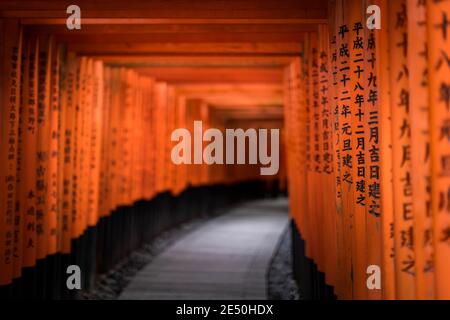 Der Innenraum eines Votivtunnels aus einer Reihe von Rote Holztorii mit schwarzen Kanji-Gebeten Stockfoto