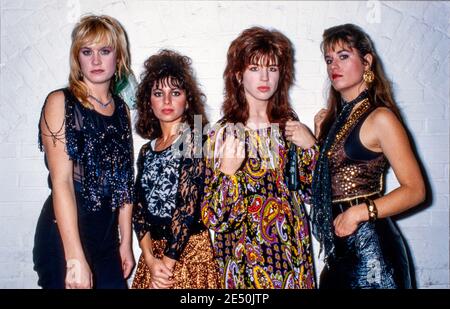 AMSTERDAM, NIEDERLANDE - 24. FEBR. 1986: The Bangles sind eine amerikanische Pop-Rock-Band. Sie hatten einen weltweiten Hit mit ‘Walk like an Egyptian’. Stockfoto