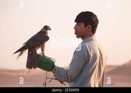 Abu Dhabi, VAE - 6. Oktober 2017: Ein traditioneller emiratischer Falkner und sein Falke in der Wüste des leeren Viertels (Rub' al Khali) in der Nähe von Abu Dhabi, VAE. Stockfoto