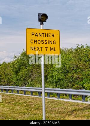 panther Überquerung Schild auf einem Pfosten mit Licht oben entlang Die Straße in Florida Stockfoto