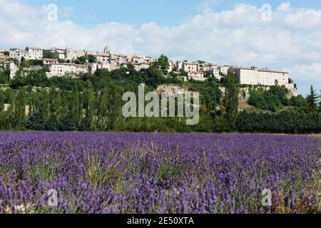 Frankreich Provence Sault das Dorf Sault über einem Feld Lavendel Stockfoto