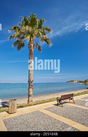 Palmen der Konyaalti Promenade, Antalya in der Türkei Stockfoto