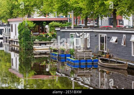 Eine Reihe von Hausbooten in Groningen, in einem Kanal unter üppigen grünen Bäumen gesäumt Stockfoto