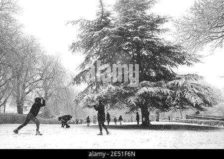 Mädchen mit einer Schneeballschlacht in den horniman Gärten Stockfoto