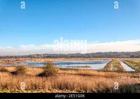 Eis auf den überfluteten Sümpfen des Ken Hill Estate hinter dem Ufer der Wash in Snettisham, Norfolk. Stockfoto