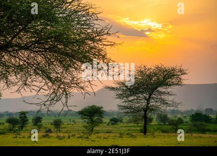 Spektakulärer Ngoro Ngoro Sonnenuntergang über dem afrikanischen Busch Stockfoto