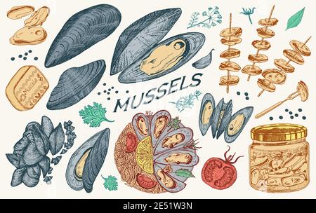 Meeresmuscheln im Vintage Retro-Stil. Nautische Weichtiere. Meeresgerichte. Vektorgrafik. Handgezeichnete Retro-Skizze mit Gravur. Antiker alter monochromer Stil Stock Vektor