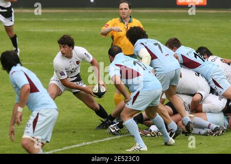 Toulouse Yannick Jauzion während der Französisch Top 14 Rugby Spiel, Toulouse gegen Bourgoin im Ernest Wallon Stadion in Toulouse, Frankreich am 7. Juni 2008. Toulouse gewann 57-17. Foto von Alex/Cameleon/ABACAPRESS.COM Stockfoto