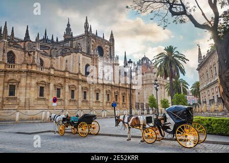 Blick auf die Straße mit Pferdekutschen für Touristen in der Nähe der Kathedrale. Sevilla, Andalusien, Spanien Stockfoto