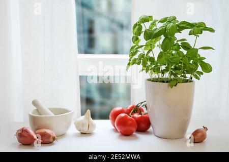 Fensterbank in der Küche mit Topfbasil, Tomaten, Zwiebel und Knoblauch gegen weiße Vorhänge, Zutaten für frisches und gesundes Kochen, Kopierplatz Stockfoto