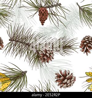 Farbige Kiefer Tannenzweigen und Kegel Wald Holz Musterdesign Vektor-illustration Stock Vektor