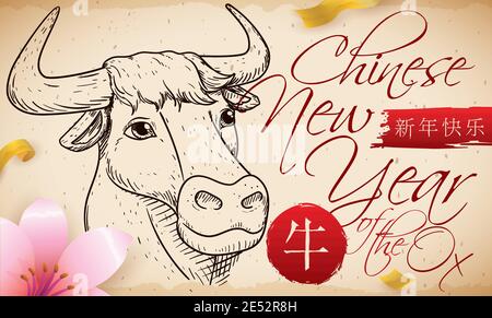Scroll mit schönen Ochsenkopf in Hand zeichnen Stil, Pfirsich Blume, Streamer und Grußbotschaft für ein glückliches chinesisches Neujahr des Ochsen (geschrieben in Chin Stock Vektor