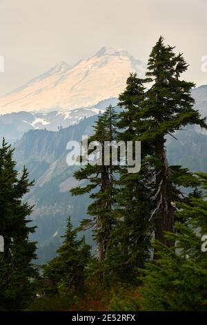 Mt Baker Whatcom County USA. Der Gipfel des Mt. Baker vom Artist Point aus gesehen. Washington, USA. Stockfoto