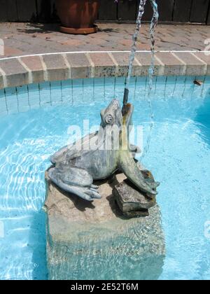 Ein Swimmingpool in Form eines Frosches, der Wasser spüßt. Stockfoto