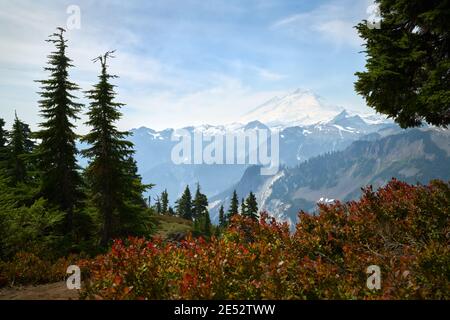 Mt Baker Whatcom County Washington USA. Der Gipfel des Mt. Baker vom Artist Point aus gesehen. Washington, USA. Stockfoto