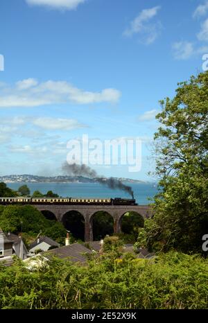 Paignton nach Kingswear Dartmouth Dampfeisenbahn über ein Viadukt. Torquay in weiter Ferne Stockfoto