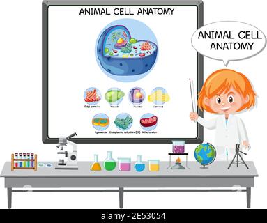 Junge Wissenschaftlerin erklärt die Anatomie der Tierzelle (Biologiediagramm) Stock Vektor
