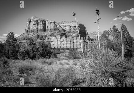 Red Rock Mountain in Sedona Colorado im Sommer